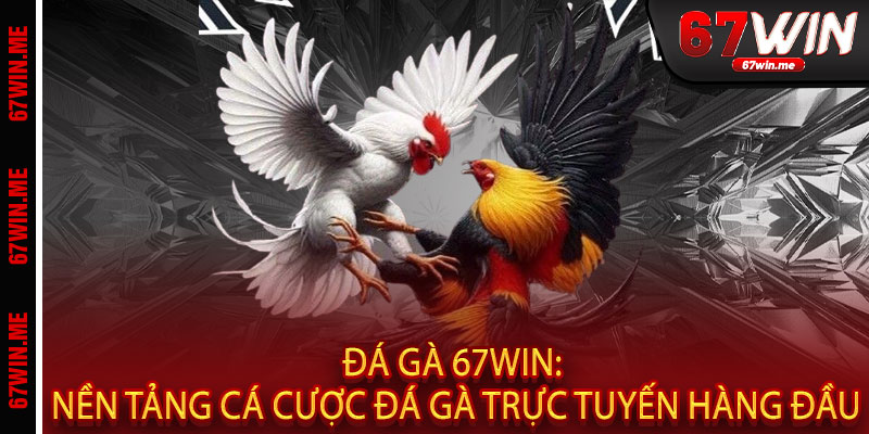 Đá Gà 67WIN - Nơi đam mê thành tiền, thắng bạc tỷ chỉ trong một nốt nhạc 2 Đá Gà 67WIN: Nền Tảng Cá Cược Đá Gà Trực Tuyến Hàng Đầu
