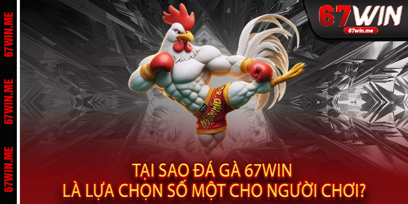 Đá Gà 67WIN - Nơi đam mê thành tiền, thắng bạc tỷ chỉ trong một nốt nhạc 3 Tại Sao Đá Gà 67WIN Là Lựa Chọn Số Một Cho Người Chơi?